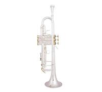 Trumpet Silver Plated Gold Trumpete Professional Musical Instruments With Case (Color : Silver)