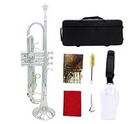 Trumpet Standard Bb Kit, With Hard Case, Mouthpiece, Cloth And Gloves, Brass Adults Play Western Wind Instruments, For Beginner Kids & Adults (Color : Silver)