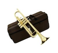Trumpet Super Professional Trumpet In Bb Tune With Gold Brass Plated Surface