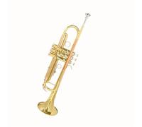 Trumpet The B Flat Three Note Trumpet Is Suitable For Professional Teaching And Performance For Adult Beginners