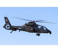 TRUMPETER 05819 1:48 Z-19 Light Scout/Attack Helicopter