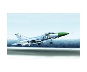 Trumpeter 1625 Sukhoi Su-15TM Flagon G 1:72 Model Kit