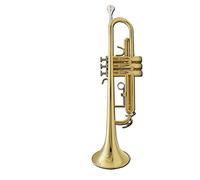 Trumpets B Flat Beginner General Brass Trumpet Brass Band School Brass Band Trumpet Instrument (Color : Gold)