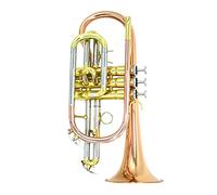 Trumpets B-flat Phosphor Bronze Brass Cornet Instrument Beginner Performance Test Trumpet Instrument (Color : Phosphor bronze)
