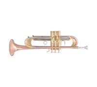 trumpets B flat trumpet adult beginner professional instrument