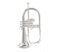 Trumpets B Flat Trumpet Instrument Golden Silver Beginner Performance Test Trumpet Instrument (Color : Silver)
