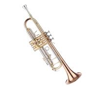 trumpets B flat trumpet instrument phosphor bronze brass instrument beginner adult performance