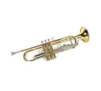 Trumpets B-flat Trumpet Instrument, Phosphor Bronze Tube Body Three-tone Trumpet, Beginner Playing Type Trumpet Instrument