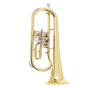 Trumpets B Flat Trumpet Is Suitable For Beginners Trumpet Instrument