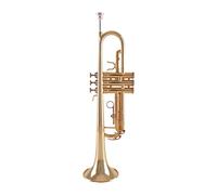 Trumpets B Flat Trumpet Musical Instrument Brass Tube Body Lacquered Gold Trumpet Instrument