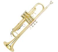 Trumpets B Flat Trumpet Phosphor Bronze Blow Rod Two-tone Trumpet Trumpet Instrument