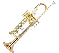 Trumpets B-flat Trumpet Phosphor Bronze Blown Two-tone Trumpet Professional Introduction Trumpet Instrument