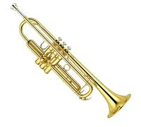 Trumpets B Flat Trumpet Trumpet Instrument Entry Test Trumpet Band Dedicated Trumpet Trumpet Instrument