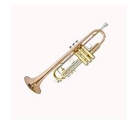 Trumpets B Trumpet Instrument Brass Instrument Beginner Playing Test Western Wind Instrument Trumpet Instrument