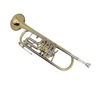 Trumpets Bb Rotary Trumpet With Case Mouthpiece B Flat Trumpets Trumpet Instrument (Color : Lacquer)