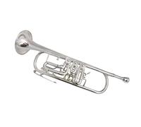 Trumpets Bb Rotary Trumpet With Case Mouthpiece B Flat Trumpets Trumpet Instrument (Color : Nickel plated)