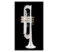Trumpets Bb Trumpet Gold Lacquer Silver Plated Trumpet Brass Musical Instruments Composite Type Trumpet Trumpet Instrument (Color : 2)