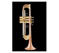Trumpets Bb Trumpet Gold Lacquer Silver Plated Trumpet Brass Musical Instruments Composite Type Trumpet Trumpet Instrument (Color : 1)