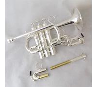 Trumpets Bb Trumpet Lacquer Brass Trumpets With Mouthpiece Case Musical Instruments Trompete Stainless Steel Pistons Trumpet Instrument (Color : Silver plated)