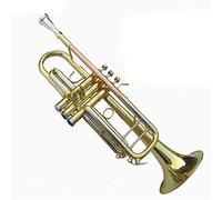 Trumpets Bb Trumpet Phosphorus Copper Music Instruments Profesional Trumpets Student Included Case Mouthpiece Accessories Trumpet Instrument