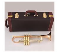 Trumpets Bb Trumpet Phosphorus Copper Music Instruments Profesional Trumpets Student Included Case Mouthpiece Accessories Trumpet Instrument