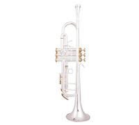 Trumpets Bb Trumpet Silver Plated Trumpet Small Brass Musical Instrument Trumpet Instrument (Color : Golden)
