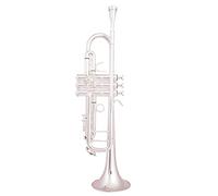 Trumpets Bb Trumpet Silver Plated Trumpet Small Brass Musical Instrument Trumpet Instrument (Color : Silver)