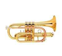 Trumpets Beginner Brass Body Gold Lacquer Phosphor Copper Leadpipe Bb Cornet Trumpet Set