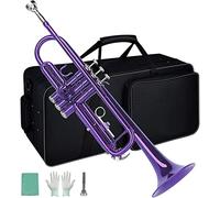 Trumpets Brass Standard Bb Trumpet Instrument For Student Beginner Trumpet Instrument (Color : Purple)