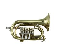 Trumpets Brass Tube Body Lacquered Gold B-flat Brass Wind Instrument Rotary Valve Trumpet Palm Horn Cornet Trumpet Instrument