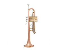 Trumpets Brass Tube C Tone Small Trumpet Adjustable Double Horn Gold Plated Surface Professional Music Instruments Trumpet Instrument