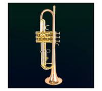 Trumpets for Beginner Bb Tune Phosphor-bronze Bell Mouth Standard Trumpet Brass Instrument Wind Instrument Beginner Professional Trumpets