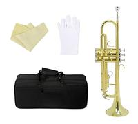 Trumpets for Beginner Golden/Silver Standard Trumpet Bb B Flat Professional Brass Instrument Large Diameter Horn With Box Instrument Accessories Trumpets (Color : Gold)
