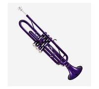 Trumpets for Beginner Professional B-flat Trumpet Beginner Three-tone Trumpet Purple Paint Spraying Standard Trumpet Brass Instrument Trumpets