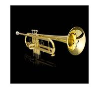 Trumpets for Beginner Professional Trumpet Musical Instrument Beginners Children Adult Falling C Lacquer Gold Trumpet Orchestral Instrument Trumpets
