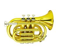 Trumpets Gold Lacquer Pocket Trumpet Brass Body Cupronickel Valves Tone Bb Trumpet Instrument