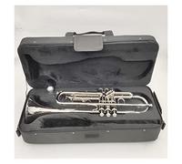 Trumpets Golden Silver B Flat Brass Trumpet Wind Instrument Suitable For Beginners To Practice Bands And Professional Trumpet Trumpets Trumpet Instrument (Color : Silver)