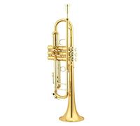 Trumpets High Grade Gold Lacquer Classic Structure Trumpet Trumpet Instrument
