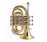 Trumpets Mini Pocket Trumpet Bb Flat Brass Wind Instrument With Mouthpiece Gloves Cleaning Cloth Carrying Case Trumpet Instrument