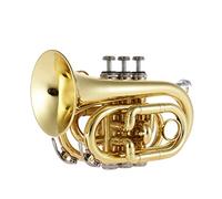 Trumpets Mini Pocket Trumpet Bb Flat Brass Wind Instrument With Mouthpiece Gloves Cleaning Cloth Carrying Case Trumpet Instrument