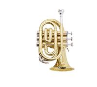 Trumpets Palm Size Pocket Trumpet Beginner Playing Test Mini Trumpet Trumpet Instrument