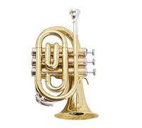 Trumpets Palm Trumpet Trumpet For Beginners Playing Grading Examination Mini Trumpet Trumpet Instrument