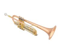 Trumpets Performance Type Cupronickel Diaphonic Tube Trumpet Instrument