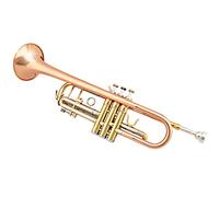 Trumpets Phosphor Bronze Tube Body Cupronickel Diaphonic Tube Trumpet Trumpet Instrument