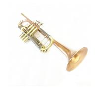 Trumpets Phosphor Copper Trumpet Bb B Flat Brass Gold-painted Exquisite Durable Musical Instrument With Mouthpiece Gloves Strap Case Trumpet Instrument