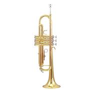 Trumpets Phosphorous Brass Trumpet Instrument In B Flat Trumpet Lacquered Gold Brass Instrument For Beginners Trumpet Instrument (Color : A)