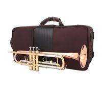 trumpets Professional alto B flat trumpet beginner instrument