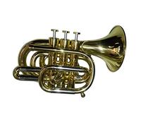 Trumpets Professional Gold Lacquer Pocket Trumpet Tone Bb Trumpet Instrument