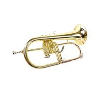 Trumpets Professional Performance Of Three-key Trumpet Instrument In B Flat Trumpet Instrument (Color : Gold)