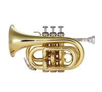 Trumpets Professional Pocket Trumpet Tone Flat B Bb Brass Wind Instrument With Mouthpiece Gloves Cloth Brush Trumpet Instrument